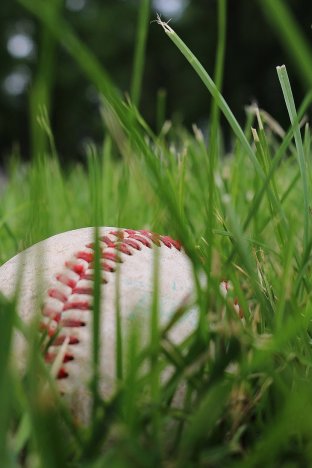 baseball
