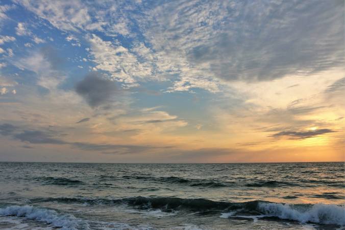 12898321_204781149898957_1706158652731604456_o[1]