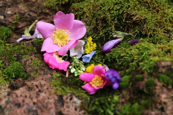 12698547_164638030579936_2642590314740268674_o[1]