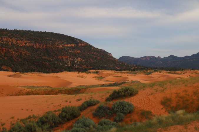 960ca7dd-8f19-42f0-a8d1-e7e2d360a024