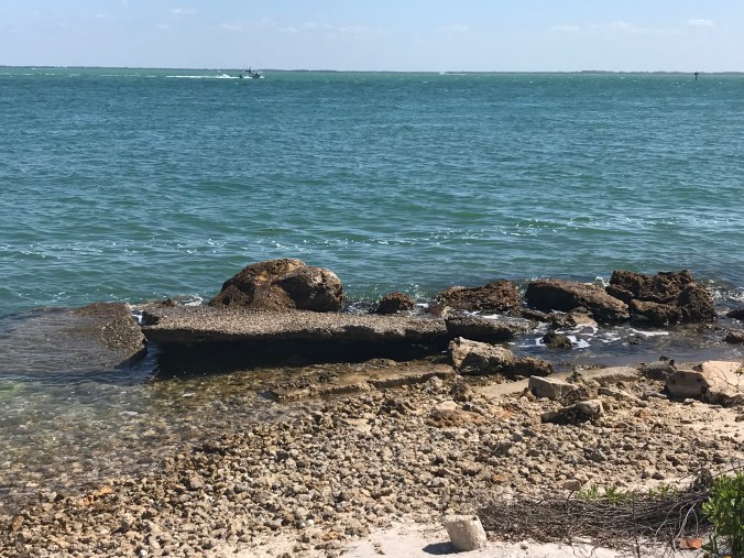 20180328_154050666_iOS