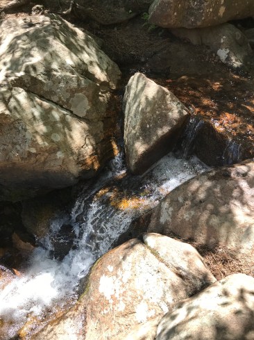 20180609_181943924_iOS